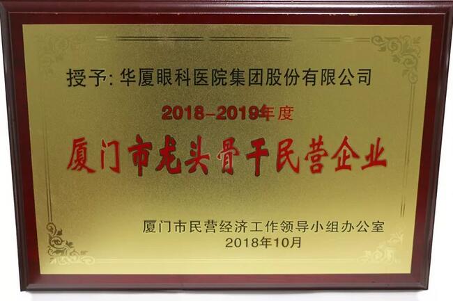 开云手机平台-开云（中国）荣膺“厦门市2018-2019年度龙头骨干民营企业”2.jpg