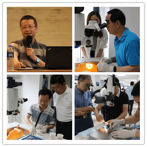开云手机平台-开云（中国）2019年眼内屈光手术技术高峰论坛隆重举行101副本.png